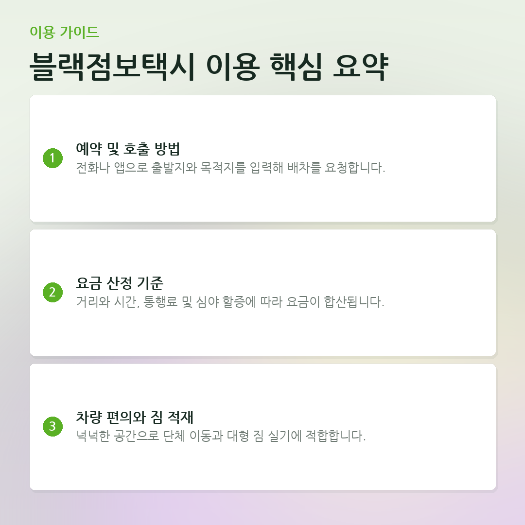 블랙점보택시 이용 핵심 요약 요약 카드