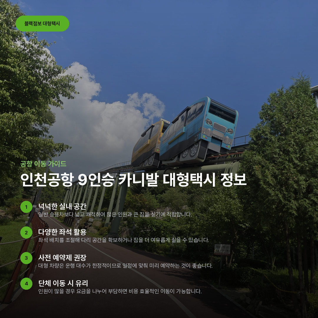 인천공항 9인승 카니발 대형택시 정보 요약 카드