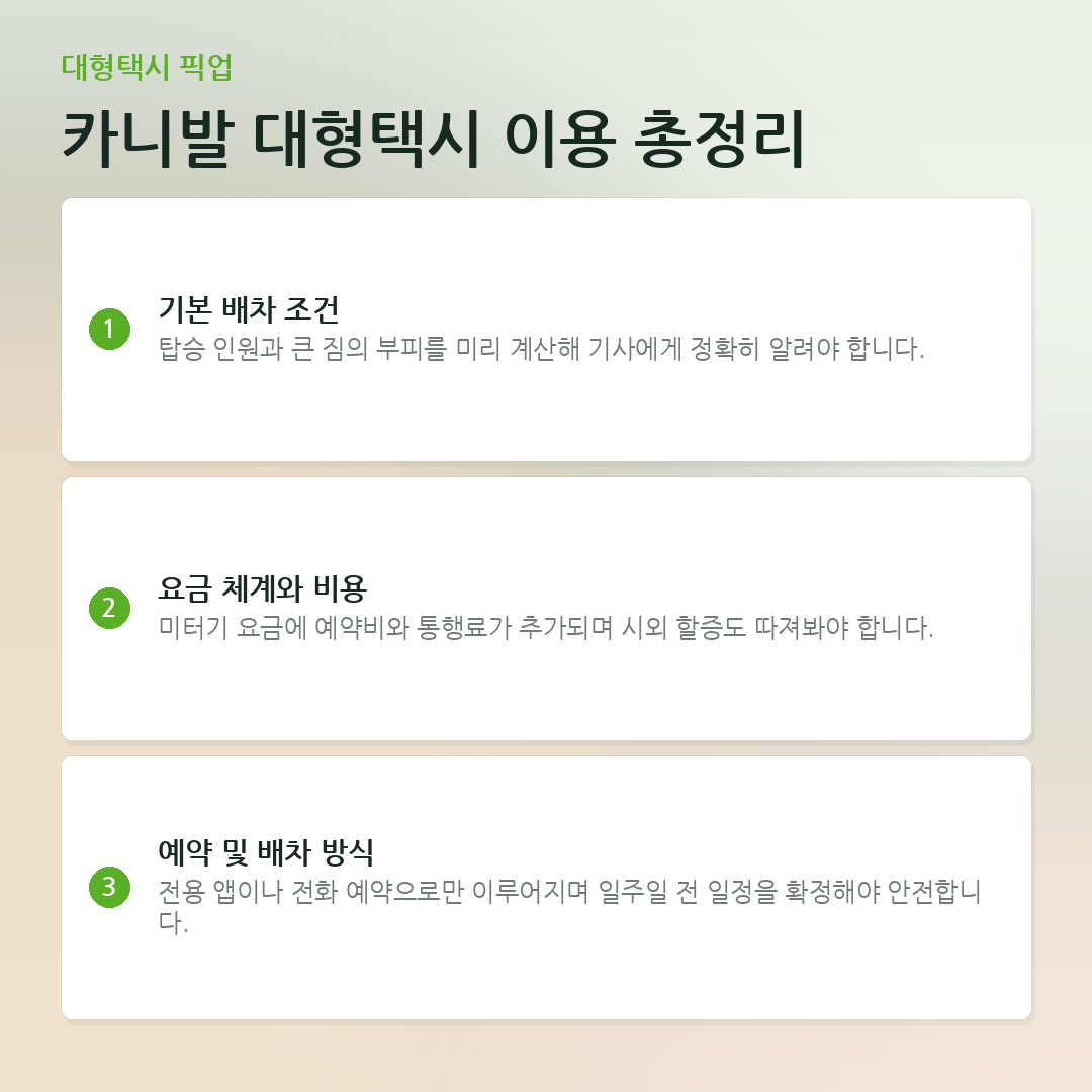 카니발 대형택시 이용 총정리 요약 카드