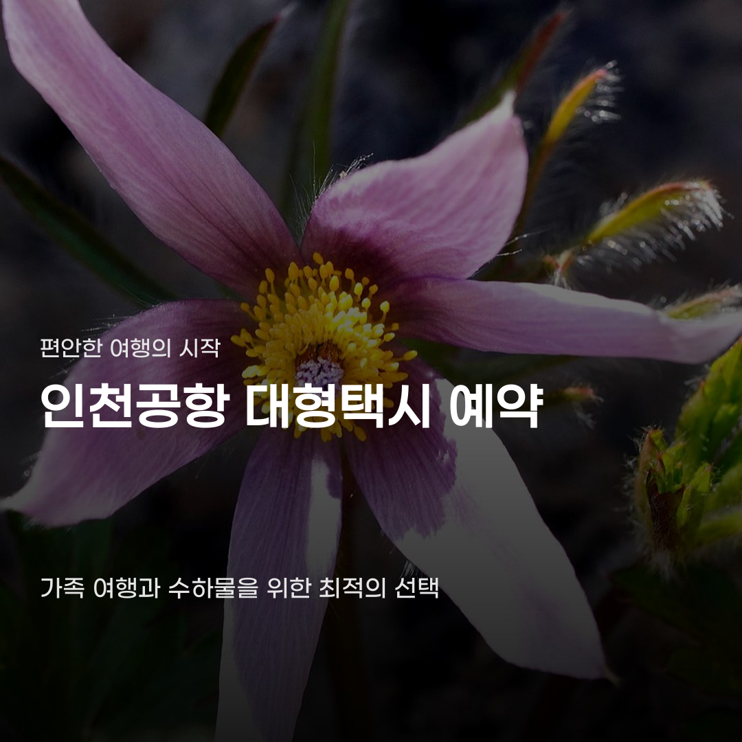 인천공항 대형택시 예약 절차 및 확인 사항