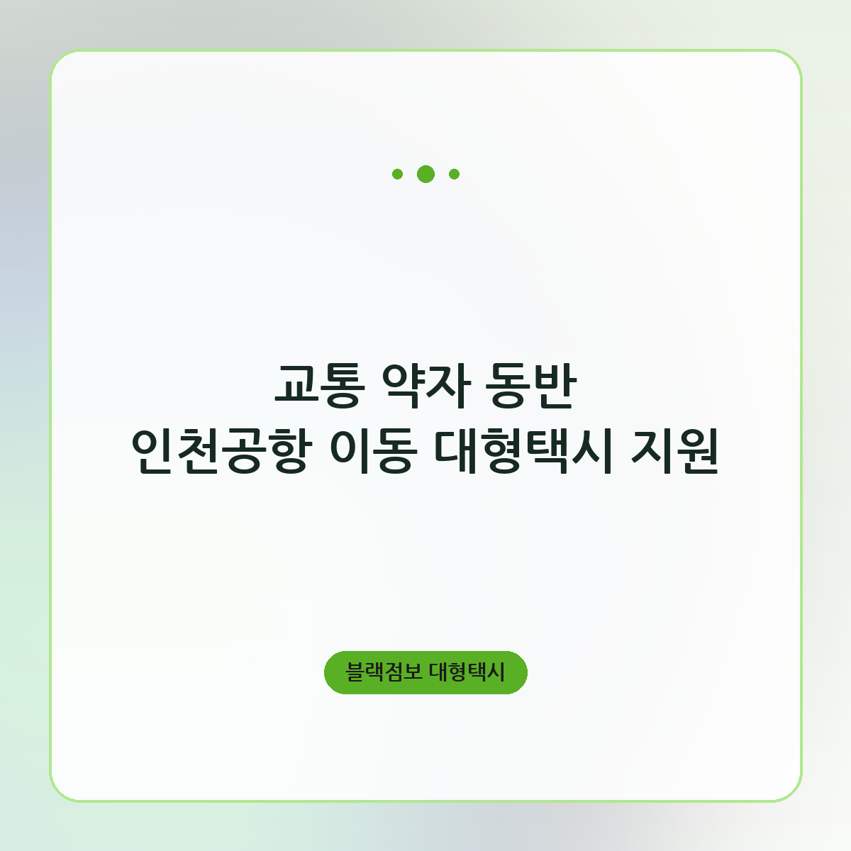 교통 약자 동반 인천공항 이동 대형택시 지원