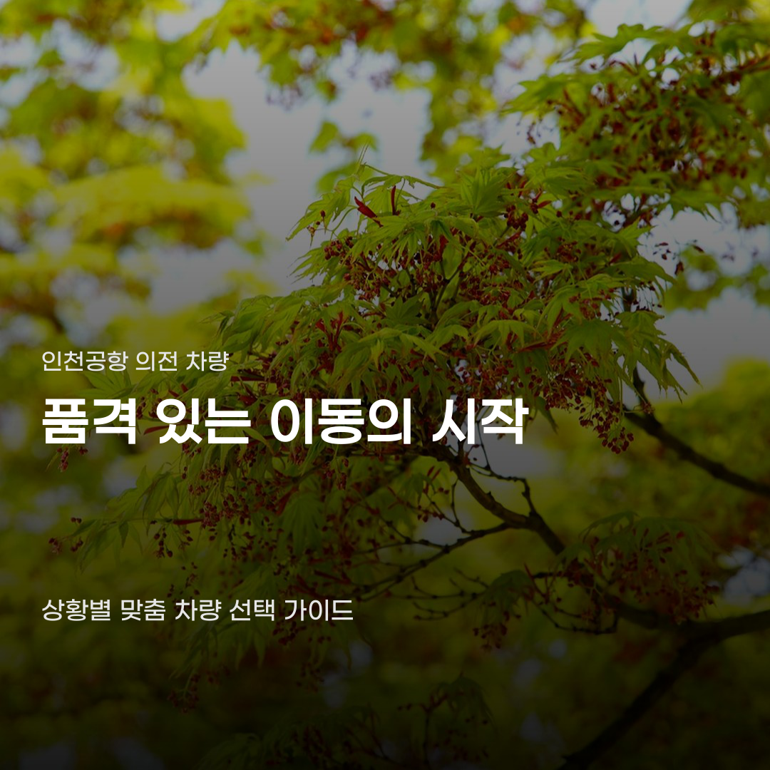 인천공항 의전 차량 상황별 선택 기준